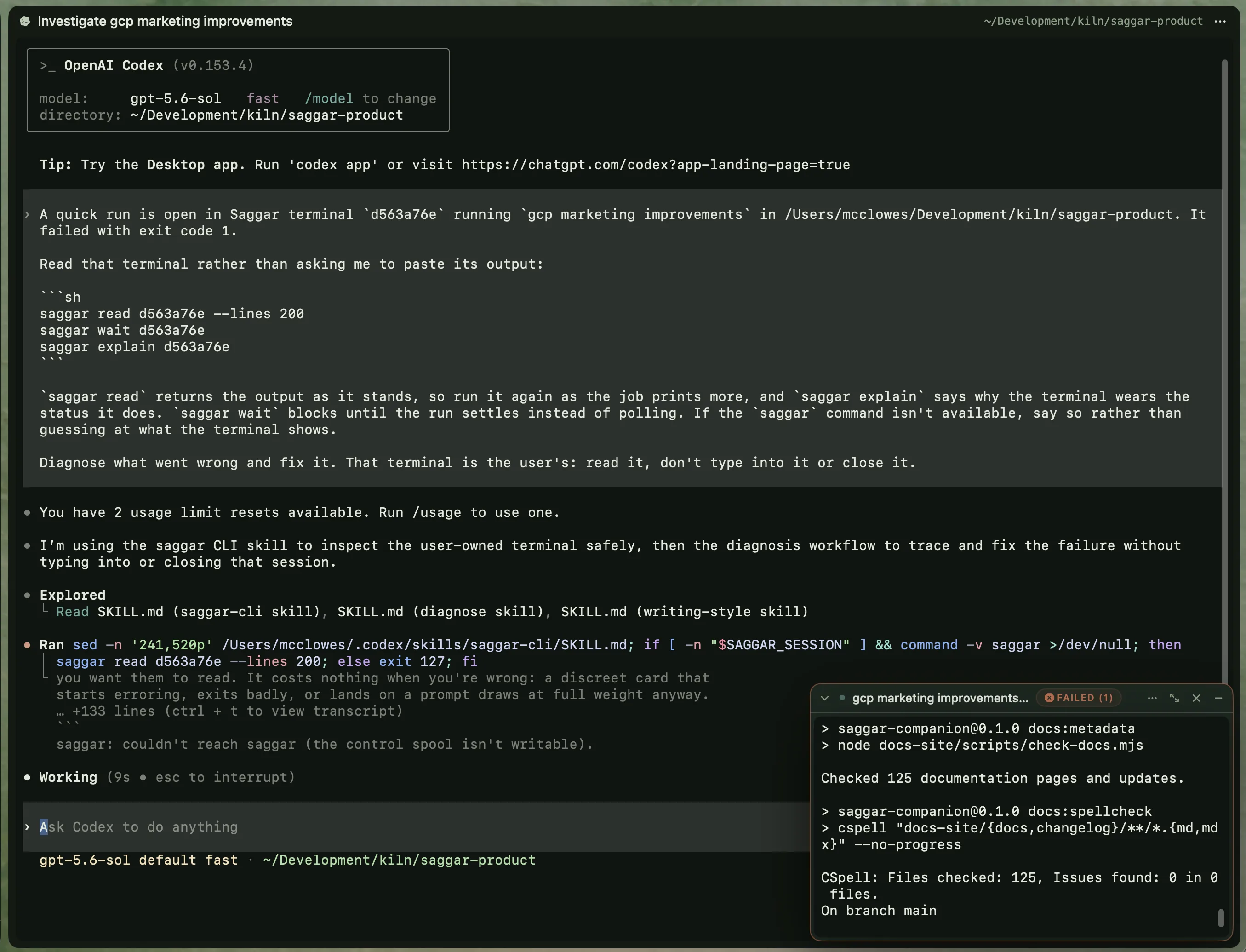 Codex investigating a failed quick run while its terminal remains open in Saggar
